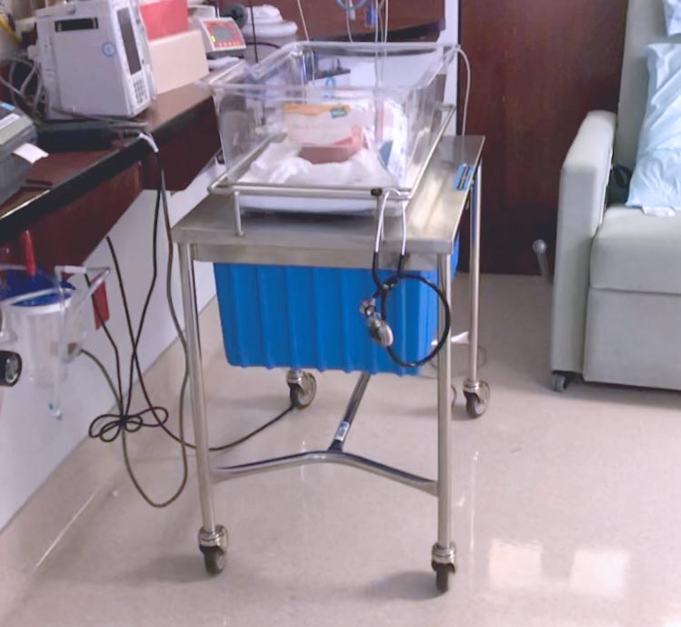 Rolly cart "bassinet" that I could only describe as brutalist industrial